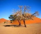 Деревья в пустыне